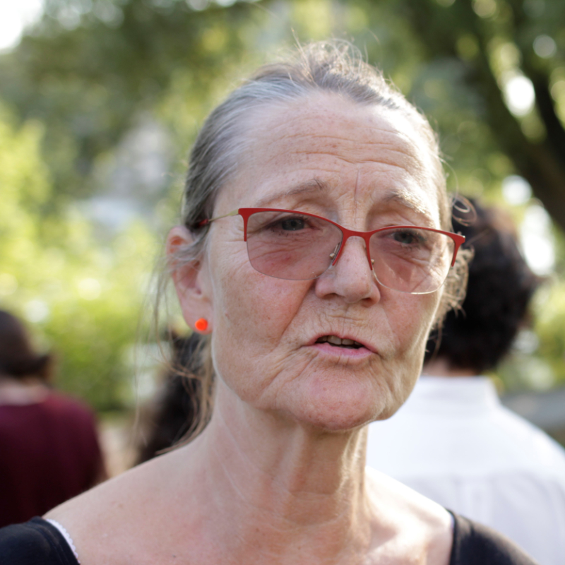 Ann Petrén